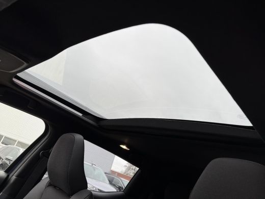 Toyota Urban Cruiser Executive 61 kWh ActivLease financial lease