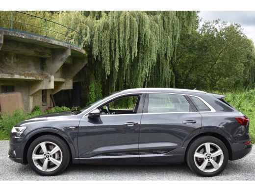 Audi e-tron 50 QUATTRO BUSINESS EDITION 71 kWh CAMERA/MEMORY/LUCHTVERING ActivLease financial lease