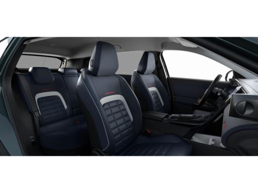 Citroën C5 Aircross Max | Extra getinte achterste zijruiten en achterruit ActivLease financial lease