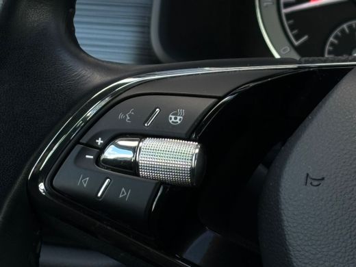 Skoda Kodiaq 1.5 TSI 150 pk Business Edition 7-DSG | Wegklapbare Trekhaak | Elektrische achterklep | Cruise co... ActivLease financial lease