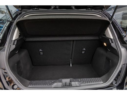 Ford Fiesta 1.0 EcoBoost Hybrid Titanium | Apple carplay+ Android auto | Cruise control | Airco | Rijstrookse... ActivLease financial lease