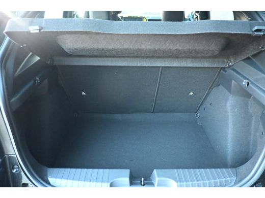 Fiat Grande Panda 1.2 Hybrid ICON | Voorraad-Actie!! | Draadloos Apple Carplay & Android Auto | Airco | Cruise Cont... ActivLease financial lease