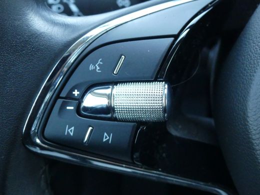 Skoda Kodiaq 1.5 TSI 150PK Business Edition DSG-7 | ELEKTRISCHE ACHTERKLEP | CAMERA | PARKEERSENSOREN V+A | GE... ActivLease financial lease