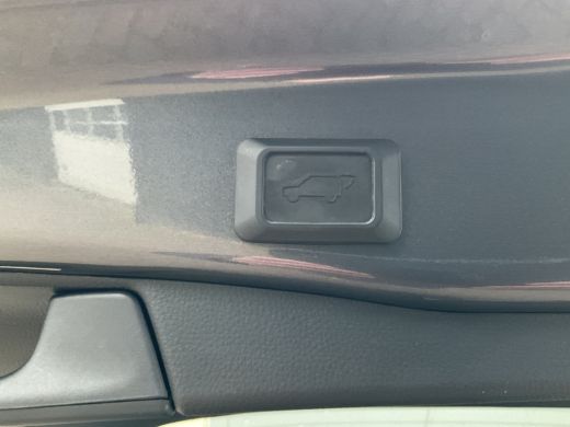 Toyota RAV4 2.5 Hybrid AWD Plug-in Leer Stoel/Stuurverw Carplay Trekhaak Keyless PHEV ActivLease financial lease