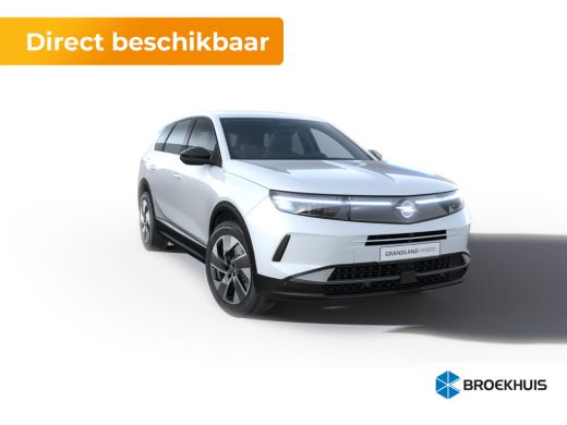 Opel Grandland Business Edition | Achteruitrijcamera | Draadloze telefoonlader (Inductie) | Elektronische klimaa...