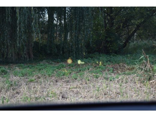 BMW X2 M35iA 306PK HIGH EXECUTIVE M-SPORT HARMAN-KARDON/CAMERA/PANORAMADAK ActivLease financial lease