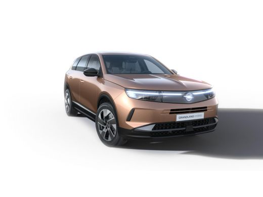 Opel Grandland Business Edition | Achteruitrijcamera | Comfort plus pakket | Draadloze telefoonlader (Inductie) ActivLease financial lease