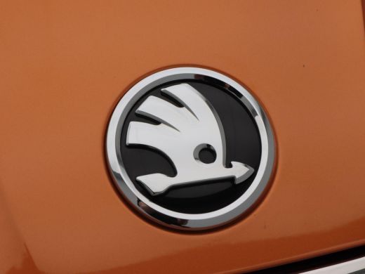 Skoda Fabia 1.0 TSi 110 Pk Automaat | Panorama dak | Parkeersensoren | Cruise Control | Stoel Verwarming | Ca... ActivLease financial lease