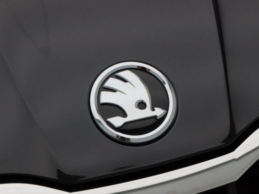 Skoda Fabia 1.0 TSi Selection | Parkeersensoren | Airco | Carplay | DAB | 15 Inch | 21.939 Km !! ActivLease financial lease