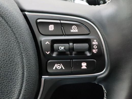 Kia e-Niro DynamicPlusLine 64 kWh 204 Pk | Camera | Open dak | Adaptive Cruise | Stoelverwarming | Carplay |... ActivLease financial lease