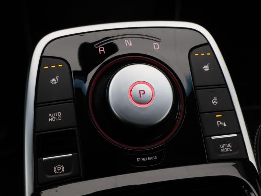 Kia e-Niro DynamicPlusLine 64 kWh 204 Pk | Camera | Open dak | Adaptive Cruise | Stoelverwarming | Carplay |... ActivLease financial lease