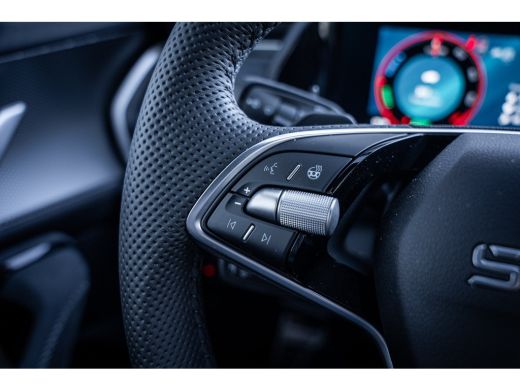 Skoda Kodiaq 1.5 TSI PHEV Sportline Business | Achteruitrijcamera | Matrix LED koplampen | Metaalkleur ActivLease financial lease