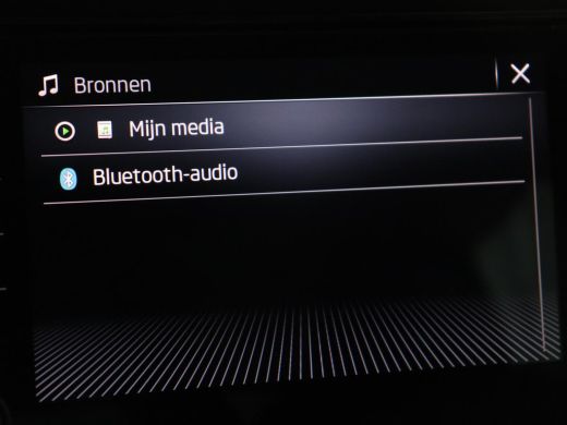 Skoda Karoq 1.5 TSI Business Edition Plus | Stoelverwarming | Trekhaak | Camera | Carplay | Navigatie | Keyle... ActivLease financial lease