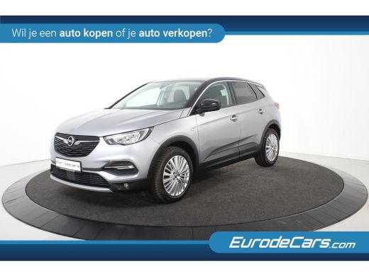 Opel Grandland X Design Line *1ste Eigenaar*Navigatie*Stoelverwarming*Carplay* ActivLease financial lease