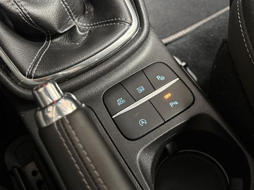 Ford Fiesta 1.0 EcoBoost Titanium (APPLE CARPLAY, GROOT NAVI, STUUR/STOELVERWARMING, BANG&OLUFSEN, CAMERA, SP... ActivLease financial lease