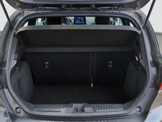 Ford Fiesta 1.0 ST-Line X | Winterpack | Cruise Control | B&O Audio | CarPlay | Navi | | Audio installatie pr... ActivLease financial lease