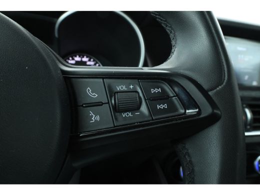Alfa Romeo Stelvio 2.2d Super Automaat, Navigatie, Leer, Climate, ActivLease financial lease