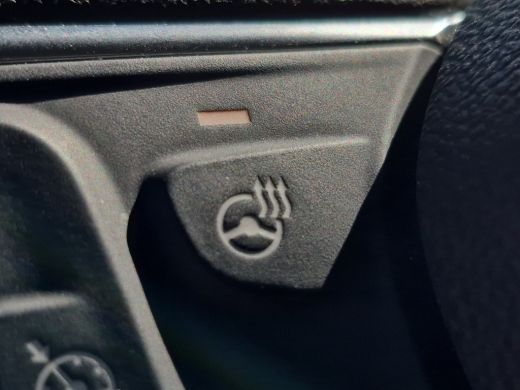 Opel Ampera-e Business executive 60 kWh 100% SOH Stuur+Stoelverwarming | Vol leder | Camera | Keyless | Adaptiv... ActivLease financial lease