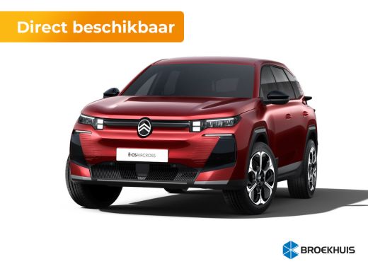 Citroën C5 Aircross Business | Extra getinte achterste zijruiten en achterruit