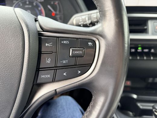 Lexus UX 250h Executive Line ActivLease financial lease