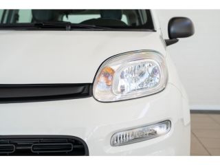 Fiat Panda 1.0 Hybrid City | 8 Jaar Garantie | Bluetooth | Cruise Controle | Parkeersensoren | Airco |