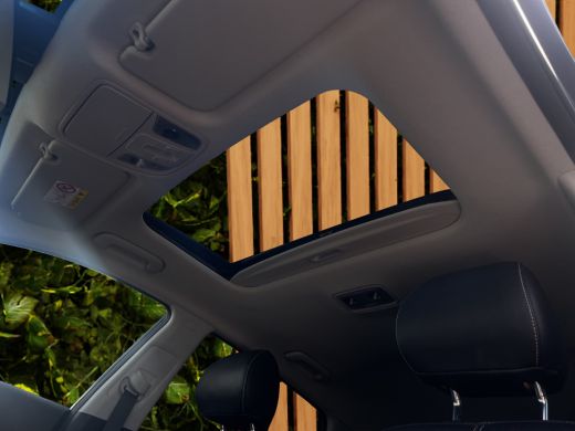 Kia e-Niro DynamicPlusLine 39 kWh | Adaptive Cruise | Panoramadak | Camera | Stuur/stoelverwarming ActivLease financial lease