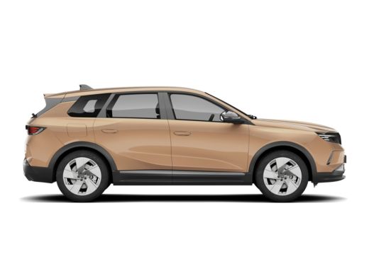 Opel Grandland Business Edition - PHEV | Achteruitrijcamera | Draadloze telefoonlader (Inductie) | Elektronische... ActivLease financial lease