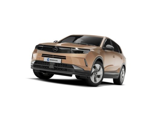 Opel Grandland Business Edition - PHEV | Achteruitrijcamera | Draadloze telefoonlader (Inductie) | Elektronische... ActivLease financial lease