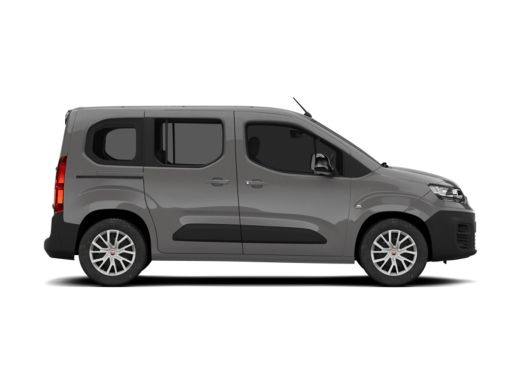 Fiat Dobl&ograve; Standaard | Airconditioning handmatig | Centrale deurvergrendeling met afstandsbediening | Cruise... ActivLease financial lease