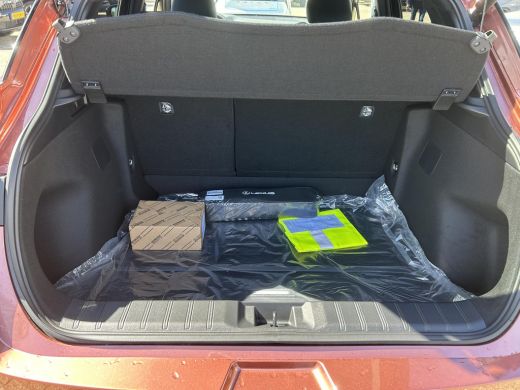 Lexus LBX 1.5 Hybrid Cool Advanced ActivLease financial lease