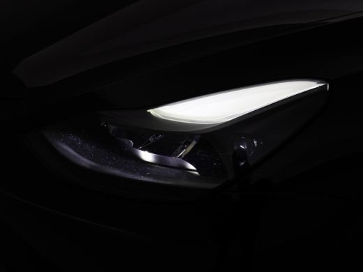 Tesla Model Y 534 PK PERFORMANCE SOH 93% + 75 KWH + AUTOPILOT | PANORAMA | 21 INCH ActivLease financial lease