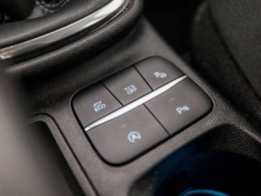 Ford Fiesta 1.0 EcoBoost Titanium (APPLE CARPLAY, GROOT NAVI, STUUR/STOELVERWARMING, BANG&OLUFSEN, CAMERA, KE... ActivLease financial lease