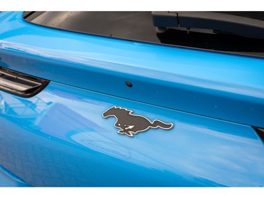 Ford Mustang Mach-E Mach-E Extended RWD 98 kWh | B&O audio | Cruise adaptief | 360 camera | Leder | Apple Carplay/And... ActivLease financial lease
