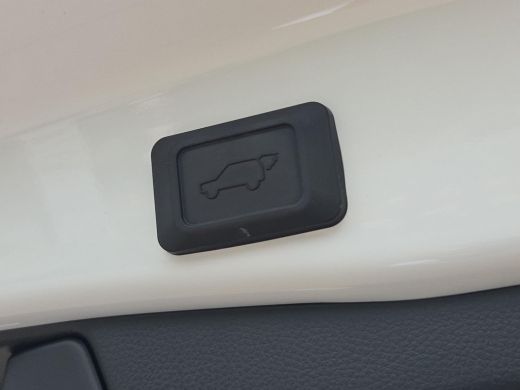 Toyota RAV4 2.5 Hybrid AWD Bi-Tone | Apple CarPlay | Navigatie | Rijklaar incl. garantie | ActivLease financial lease