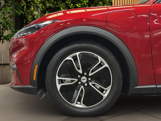 Ford Mustang Mach-E Mach-E Standard RWD 75 kWh | SOH 90% | Pano | Adapt. Cruise | Blis | B&O | Apple Carplay | 19'' ActivLease financial lease
