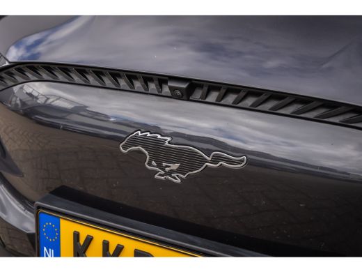 Ford Mustang Mach-E Mach-E Extended RWD 98 kWh | Drivers Assistance Pack | B&O | Leder | 360 Camera | Winter Pack | A... ActivLease financial lease