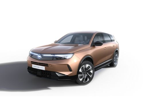 Opel Grandland Business Edition - PHEV | Achteruitrijcamera | Draadloze telefoonlader (Inductie) | Elektronische... ActivLease financial lease