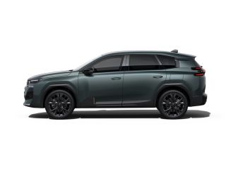 Citroën C5 Aircross Max | Extra getinte achterste zijruiten en achterruit
