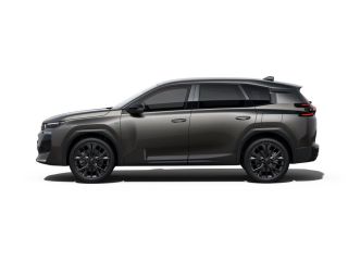 Citroën C5 Aircross Max | Boordlader 7,4kW - 1 fase | Extra getinte achterste zijruiten en achterruit