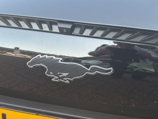 Ford Mustang Mach-E Mach-E RWD 75 kWh 269pk | Technology Pack+ | Panoramadak | ActivLease financial lease