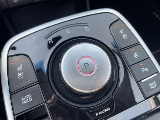Kia e-Niro ExecutiveLine 64 kWh | Stoelverwarming en ventilatie | Leder | Elektrische stoelen | ActivLease financial lease