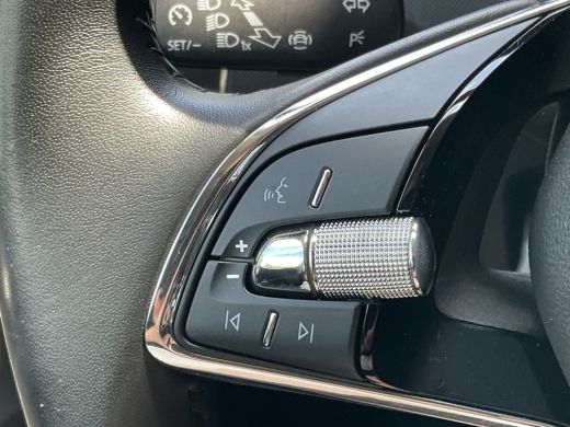 Skoda Fabia Combi 1.0 TSI Style 1Eig DAB Carplay Stoelverw. Black metal ActivLease financial lease