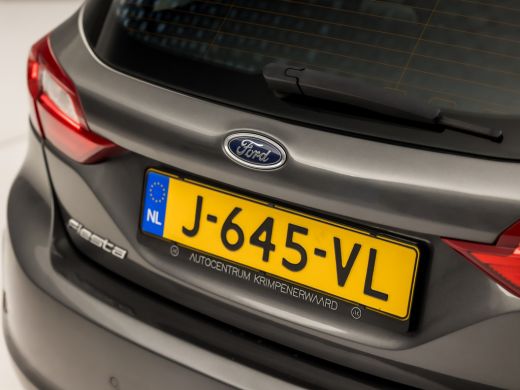 Ford Fiesta 1.0 EcoBoost Titanium (APPLE CARPLAY, GROOT NAVI, CLIMATE, SPORTSTOELEN, LM VELGEN, PARKEERSENSOR... ActivLease financial lease