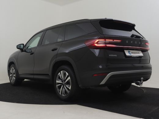Skoda Kodiaq 1.5 TSI MHEV Business Edition 150pk DSG/AUTO | 7persoons | Trekhaak | Dodehoekdetectie | Electris... ActivLease financial lease