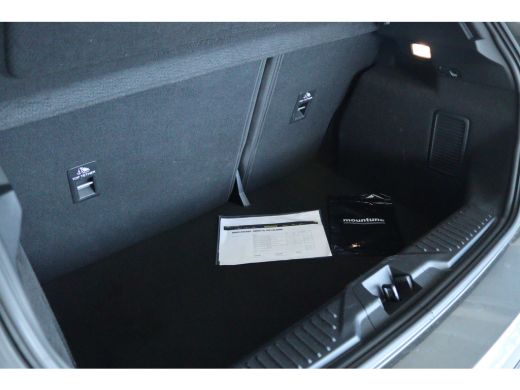 Ford Fiesta 1.5 Ecoboost ST-X M260 "OP AFSPRAAK" | Mountune Stage 2 | Perf. Pack | B&O | Camera | Cruise Cont... ActivLease financial lease
