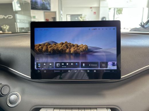 BYD DOLPHIN SURF Active 30 kWh | Direct Leverbaar | Achteruitrijcamera | 220 km WLTP | kenteken deals ActivLease financial lease