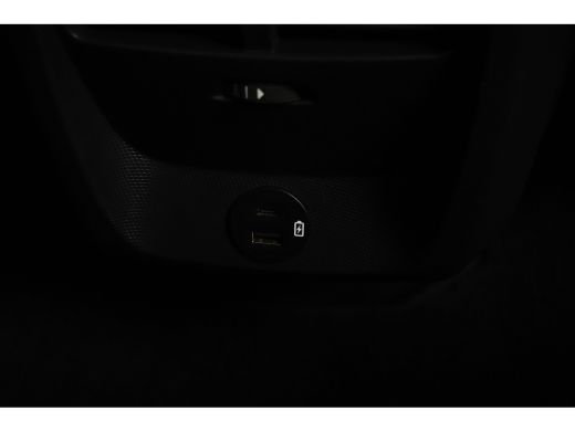 Ford Mustang Mach-E Mach-E RWD 75 kWh Panorama Dak | Camera Rondom | B&O audio | Parkeersensoren Rondom | Lederen Bek... ActivLease financial lease