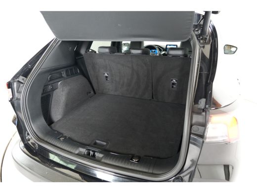 Ford Kuga 2.5 PHEV 225 pk Titanium | Stl. verw. | Camera | Cruise | El . achterklep | El. Stl. verst. | ActivLease financial lease
