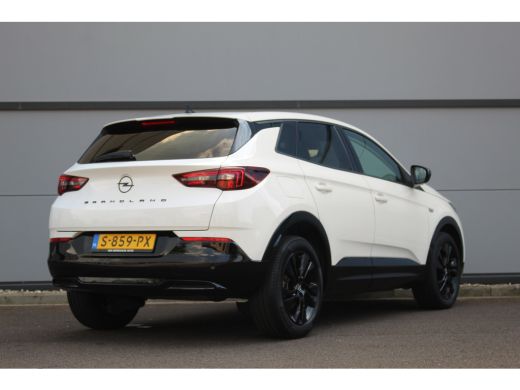 Opel Grandland 1.2 Turbo GS 130 PK | AGR | Winterpakket | Climate & Cruise C. | 18" LMV | CarPlay | AGR | Winter... ActivLease financial lease