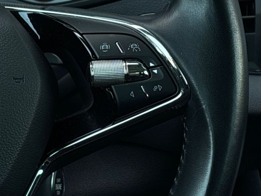 Skoda Karoq 1.5 TSI 150 pk ACT Business Edition 7-DSG | Trekhaak | Cruise control adaptief | Navigatie | ActivLease financial lease